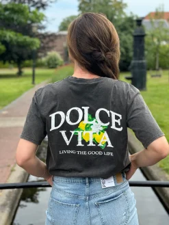 Shirtje Dolce Vita grijs
