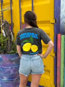 Shirtje Freshly grijs
