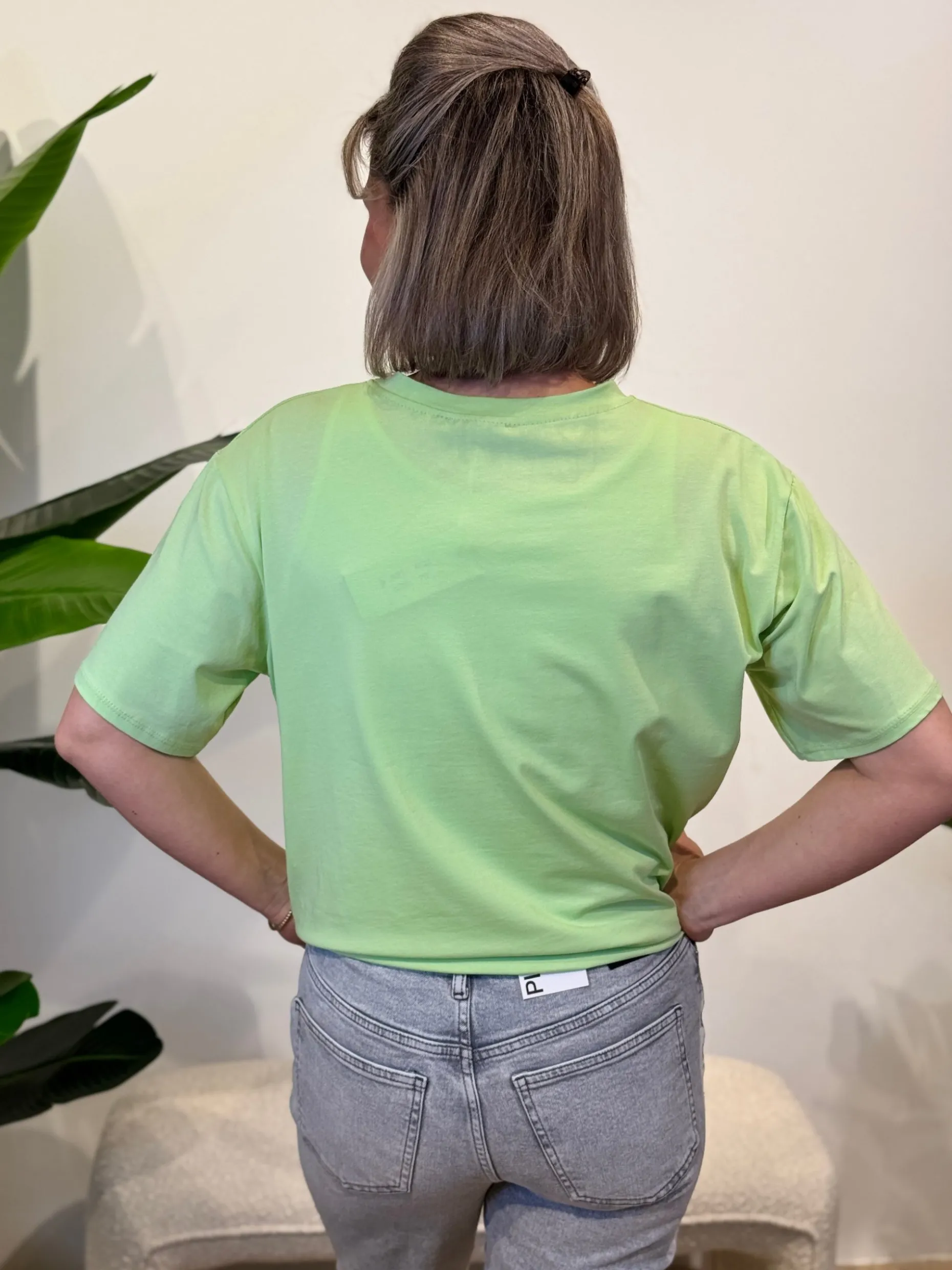 Shirtje Paris groen